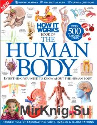 Нow It Works - The Human Body / Как это работает - Тело человека