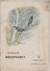 Юный натуралист №3 1938